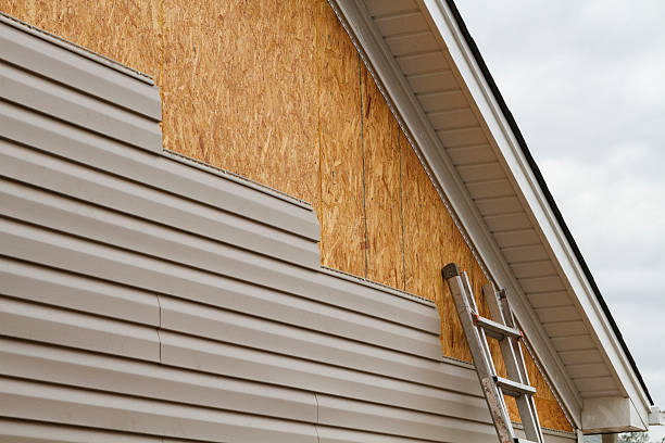 Professional Siding Repair technician working in Kenton, TN